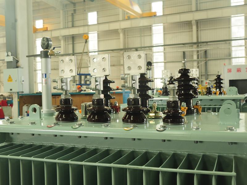 拉萨S13-500KVA油浸式变压器